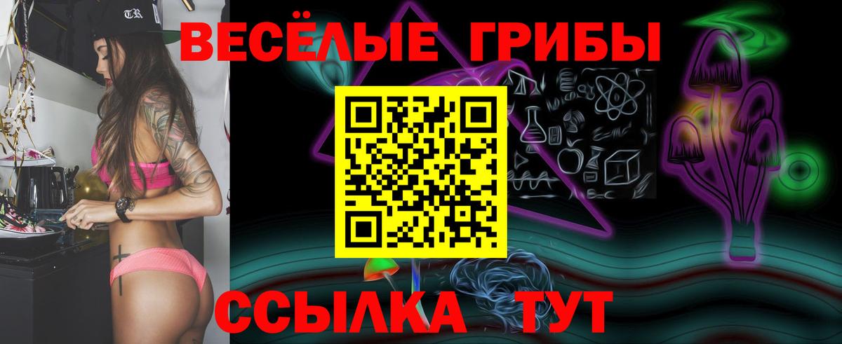 Галлюциногенные грибы GOLDEN TEACHER Сургут